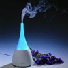 Bliss Ultrasonic Aroma Diffuser & Ioniser