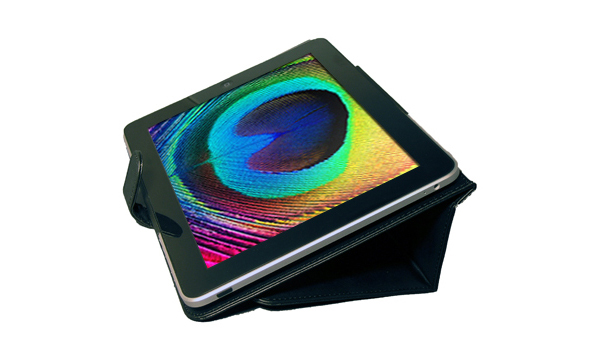 BodyGuard Apple iPad Luxury Leather Case