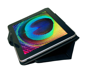 BodyGuard Apple iPad Luxury Leather Case