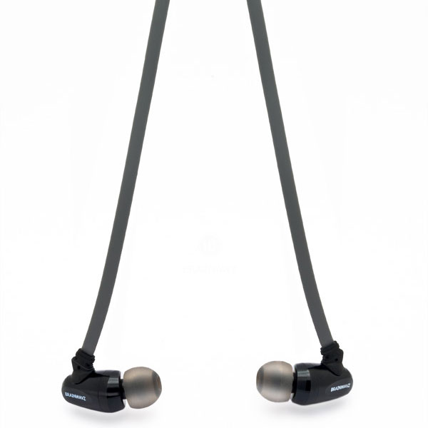 Brainwavz S5 Dynamic Driver Based IEM Earphones