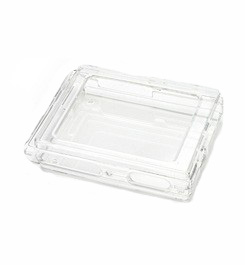 iAudio D2 Crystal case