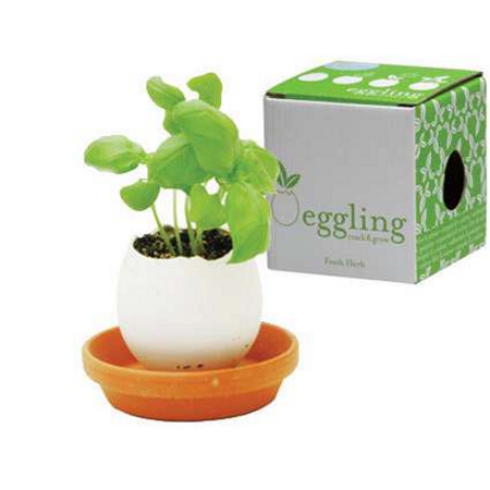 Eggling Scent Mint