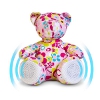 Teddy Speaker (B-Grade)