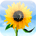 icon_photos.png