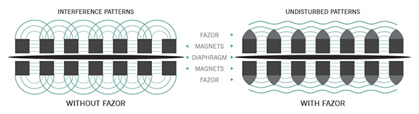 Fazer flow diagram Fazer flow diagram