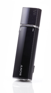 Sony NWE015F FM 2GB WALKMAN MP3 player