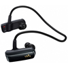 Sony Walkman NWZ-W252 2GB Wearable MP3 Player