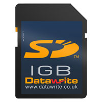 Datawrite 1GB Secure Digital Memory Card - Best Datawrite 1GB Secure Digital Memory Card