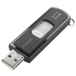 Sandisk 2GB Cruzer Micro USB Pen Drive