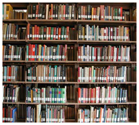 SR_books.jpg