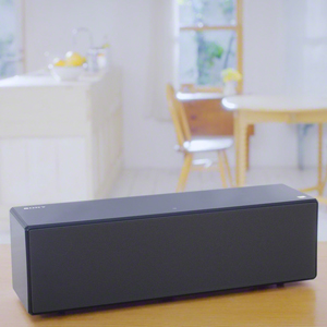 Sony SRS-X88 Hi-Res Audio Multi-Room Wireless Speaker with Wi-Fi/Bluetooth® - BLACK