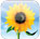 icon_large_photos_20070905.jpg