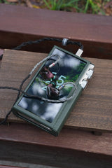iBasso DX340 MAX music player, in case, with earphones