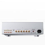 FiiO EA13 High-Performance Tube Power Ampifier