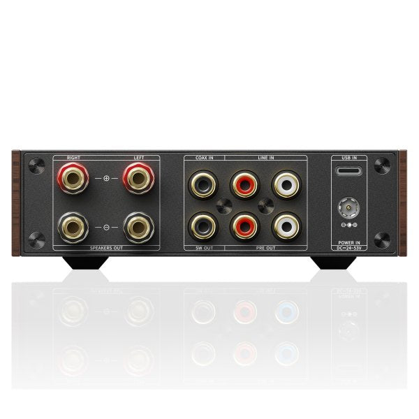 FiiO Jade Audio LEVEL 1 power amplifier, black, rear panel with speaker terminals and inputs