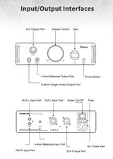 iBasso Kunlun GaN desktop headphone amp, input and output connections diagram