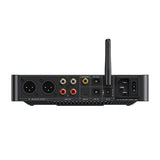FiiO BR15 R2R Bluetooth receiver and DAC, black, rear panel with XLR and RCA outputs