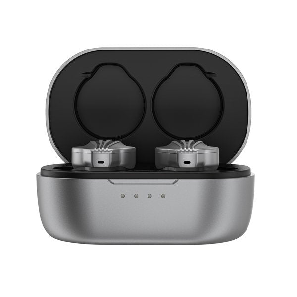 FiiO FW3 true wireless earphones, grey, in open case