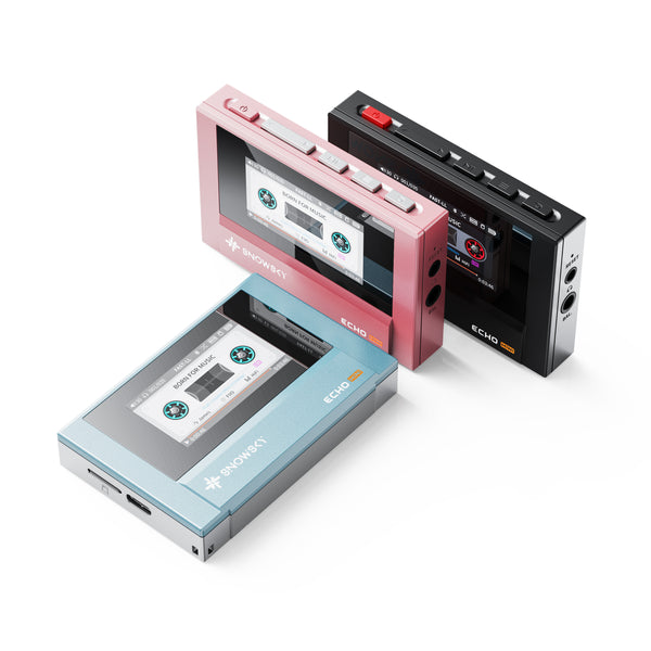 FiiO Snowsky Echo Mini