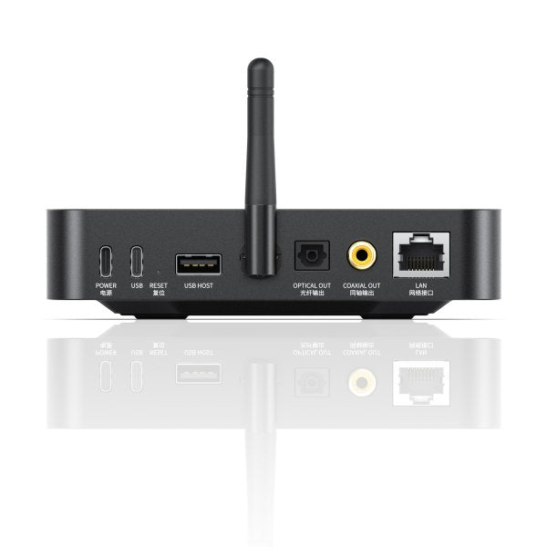 FiiO SR11 desktop streamer, black, rear panel