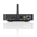 FiiO SR11 desktop streamer, black, rear panel