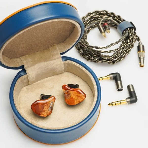 DUNU SA6 MK2 in-ear monitors, in the carry case