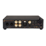 Ferrum WANDLA GoldenSound Edition DAC and preamp, rear panel