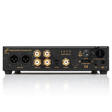 Ferrum ERCO Gen 2 DAC, preamp and headphone amp, rear panel