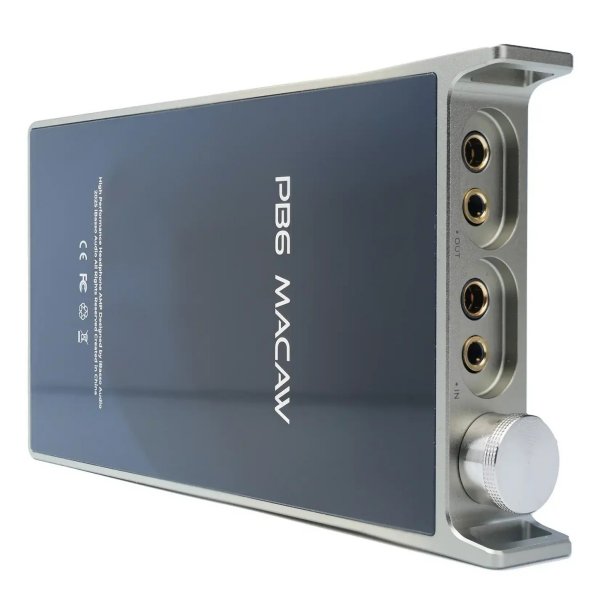 iBasso PB6 Macaw portable tube amp, back and socket panel