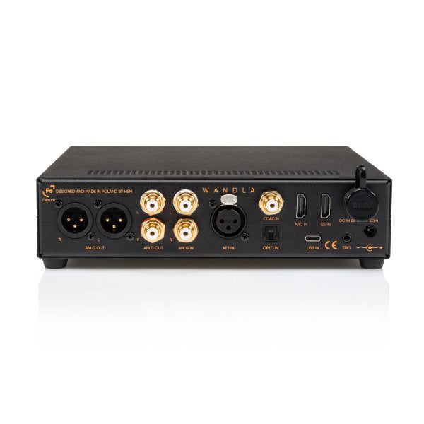Ferrum WANDLA GoldenSound Gen 2 DAC and preamp, rear panel
