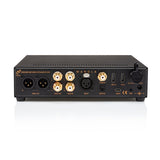 Ferrum WANDLA GoldenSound Gen 2 DAC and preamp, rear panel