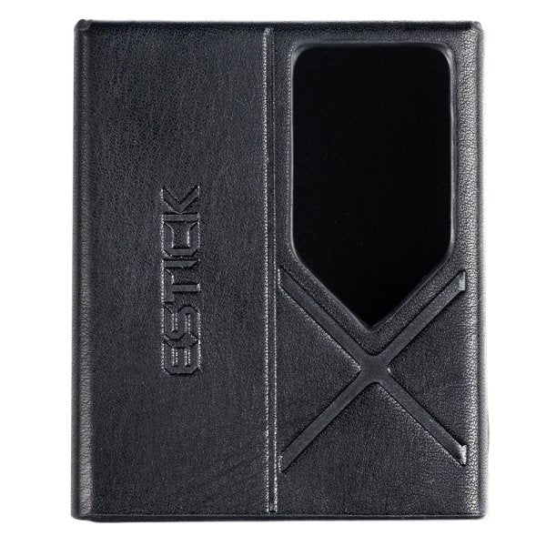 FiiO KA17 and ESTICK combo case, black