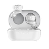 FiiO FW3 true wireless earphones, white, in open case