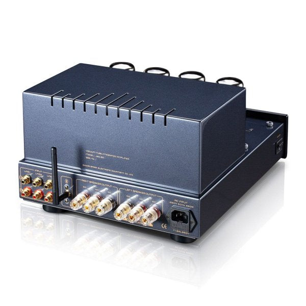 Cayin Jazz 80 Bluetooth valve amplifier, rear panel