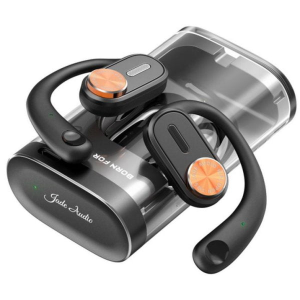 FiiO Jade Audio JW1 wireless earphones, black, earphones with case