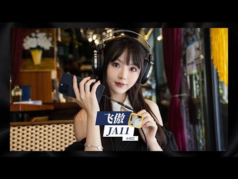 FiiO Jade Audio JA11 Dongle DAC and Headphone Amp: official film