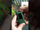 FiiO QX11 Compact Headphone Amplifier: official film