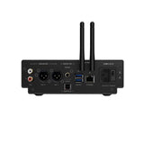 Shanling SM50 in black, rear panel with RCA and XLR outputs, coaxial, USB, Ethernet and mains connections