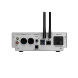 Shanling SM50 in silver, rear panel with RCA and XLR outputs, coaxial, USB, Ethernet and mains connections