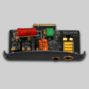 iBasso AMP8 MKII S 4.4mm/3.5mm Amp Card for DX240