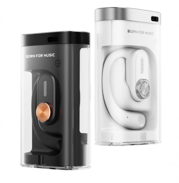 FiiO JW1 True Wireless Bluetooth Earphones