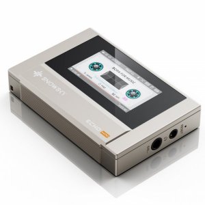 FiiO Snowsky Echo Mini Portable Hi-Res Music Player