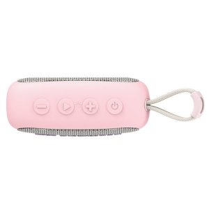 FiiO Snowsky Anywhere Portable Bluetooth Speaker with Bluetooth 5.4