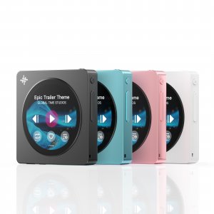 FiiO Snowsky Disc Portable Audio Player