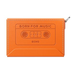 Protective Case for the FiiO Snowsky Echo