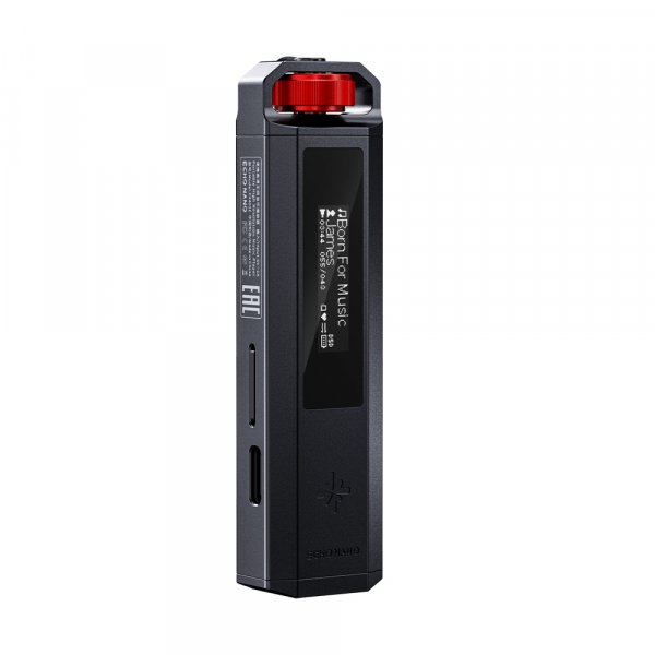 FiiO Snowsky Echo Nano Portable Digital Audio Player