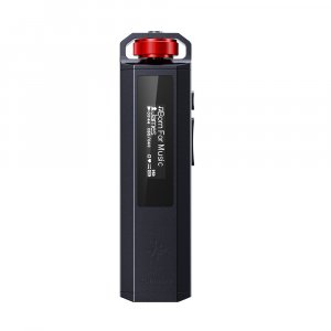 FiiO Snowsky Echo Nano Portable Digital Audio Player