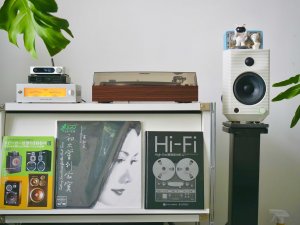 FiiO TT11 Fully Automatic Turntable