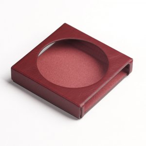 FiiO Snowsky Disc Protective Case
