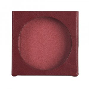 FiiO Snowsky Disc Protective Case
